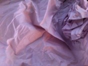 20130816-105715.jpg