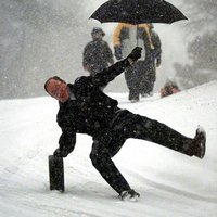 162060_101238938969_5925308_n