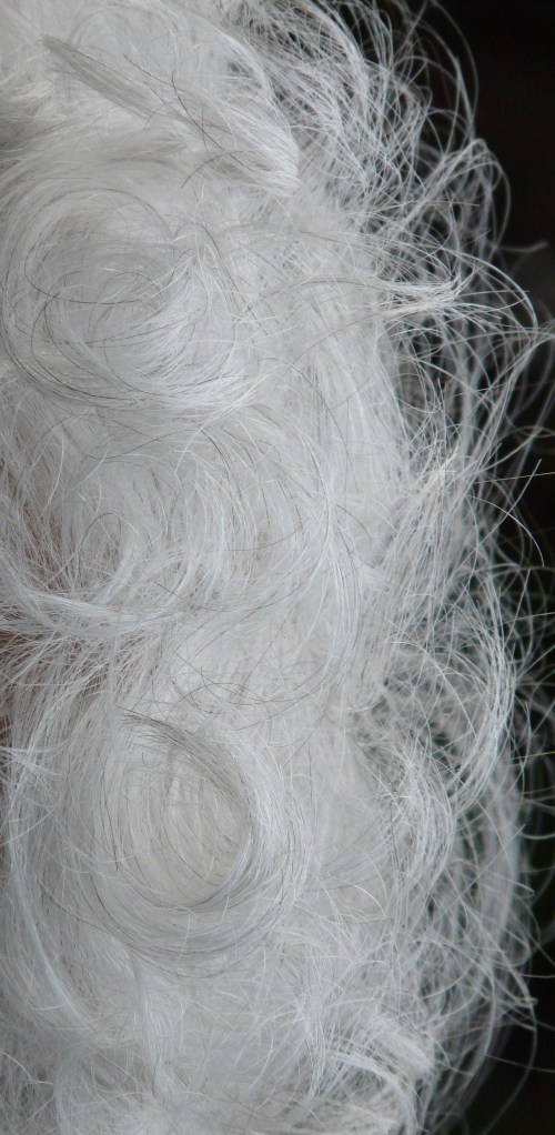 white hair