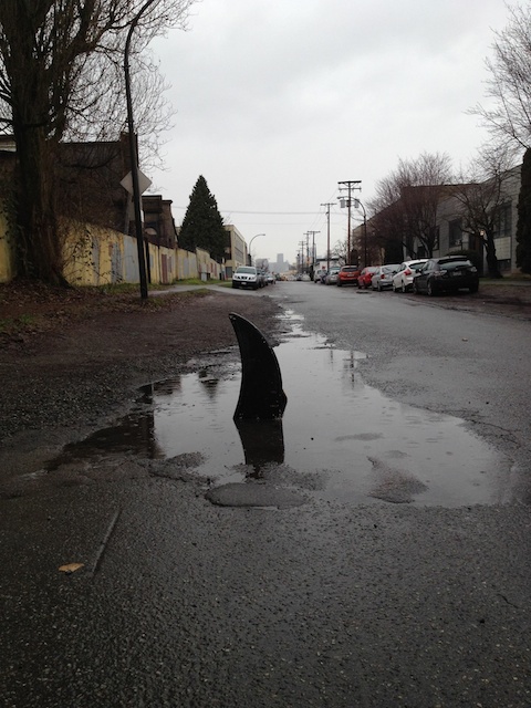 spotted by Bettina Matzkuhn on her bike ride home