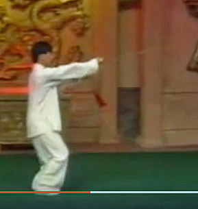 performed by master Yang Jun, nephew of Yang Zhen Duo(son of Yang Cheng Fu)